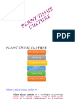 PTC Introduction and Media Composition (1)