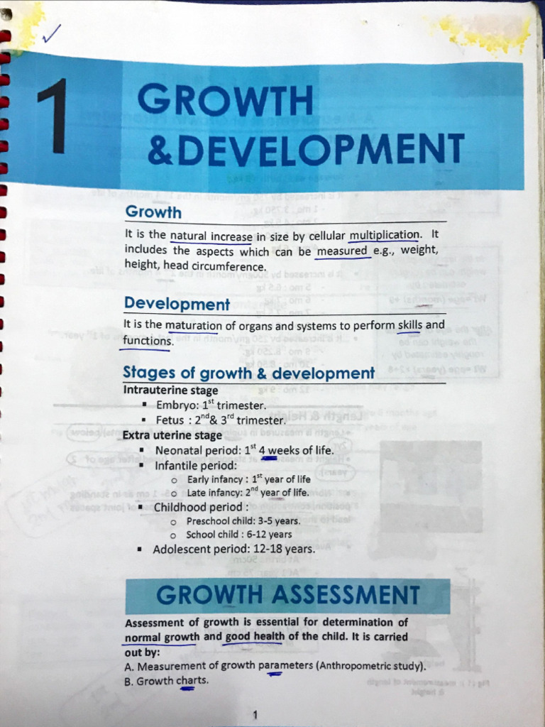 Growth | PDF