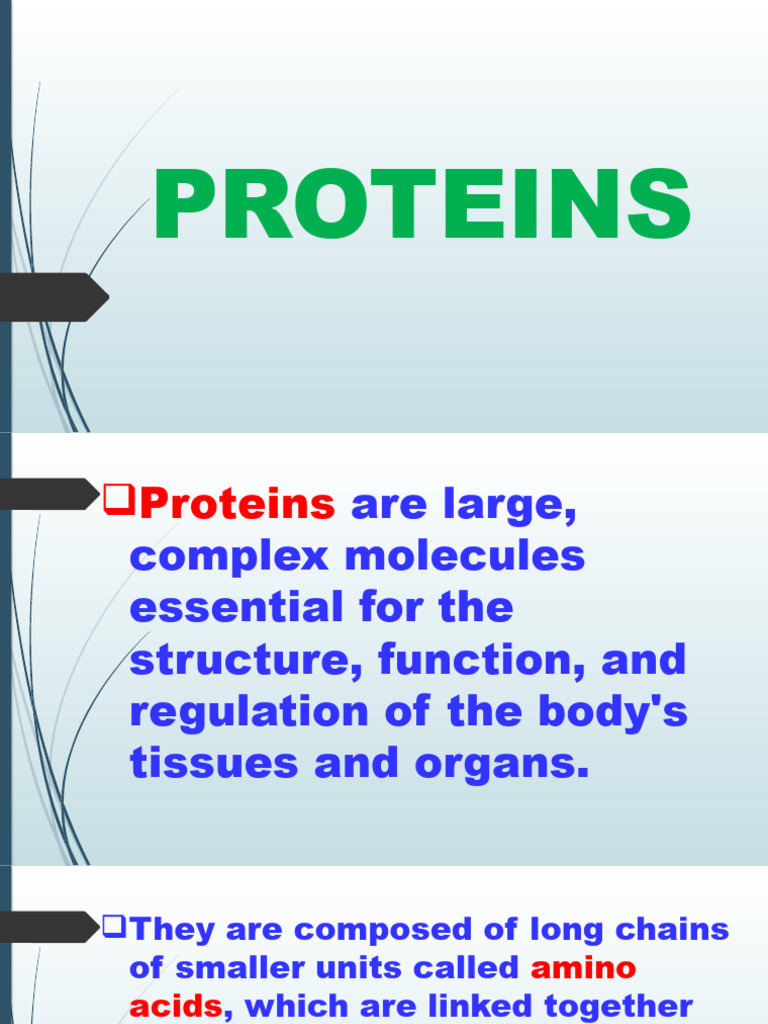 Proteins Biomolecules For Grade 10 Pdf Amino Acid Proteins