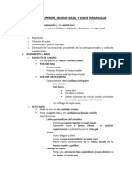 Vía Respiratoria Superior - Cavidad Nasal y Senos Paranasales