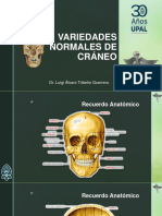 Radiología variedades normales de cráneo