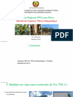 Foc_TR4_Mozambique_Sep_2021 2