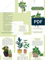 Folleto Tríptico Consejos para Cuidar A Tus Plantas Ilustrado Verde