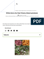Kilimo Bora Cha Viazi Vitamu (Sweet Potatoes) - Mogriculture TZ