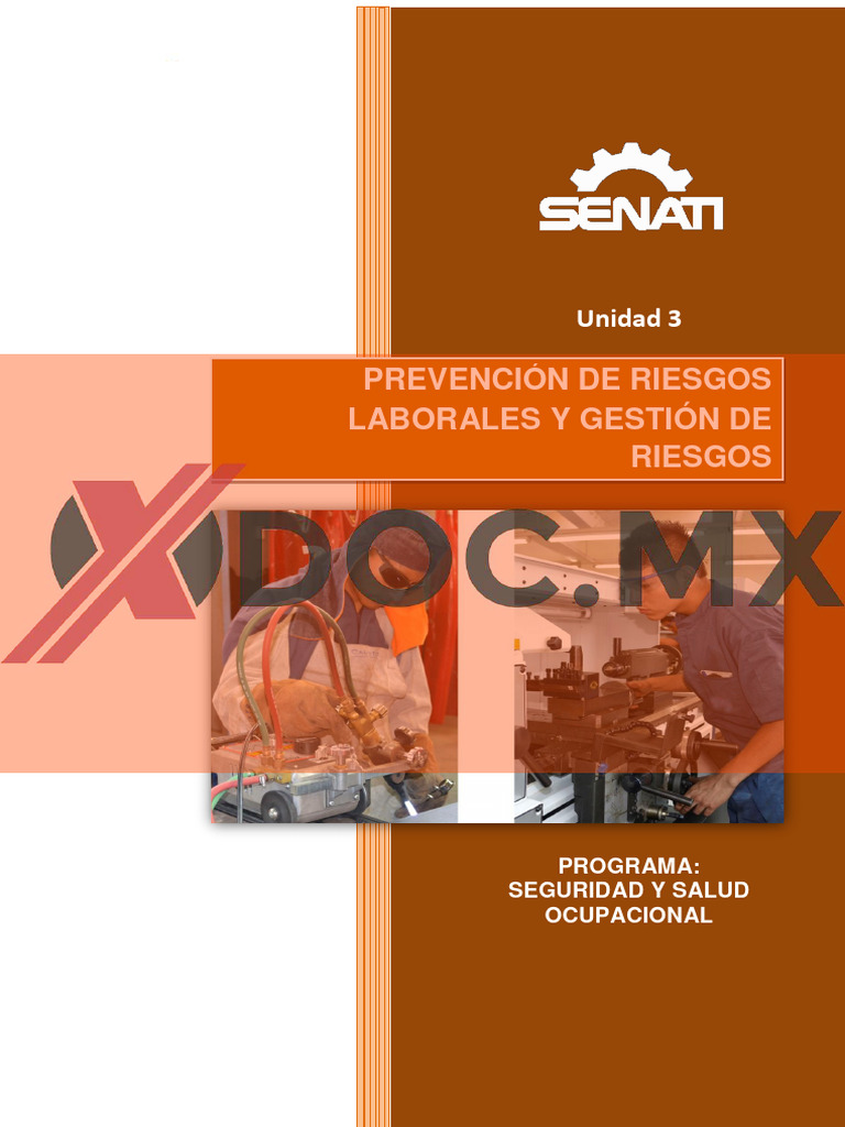 Xdoc - MX Prevencion de Riesgos Laborales y Gestion de Riesgos | PDF ...