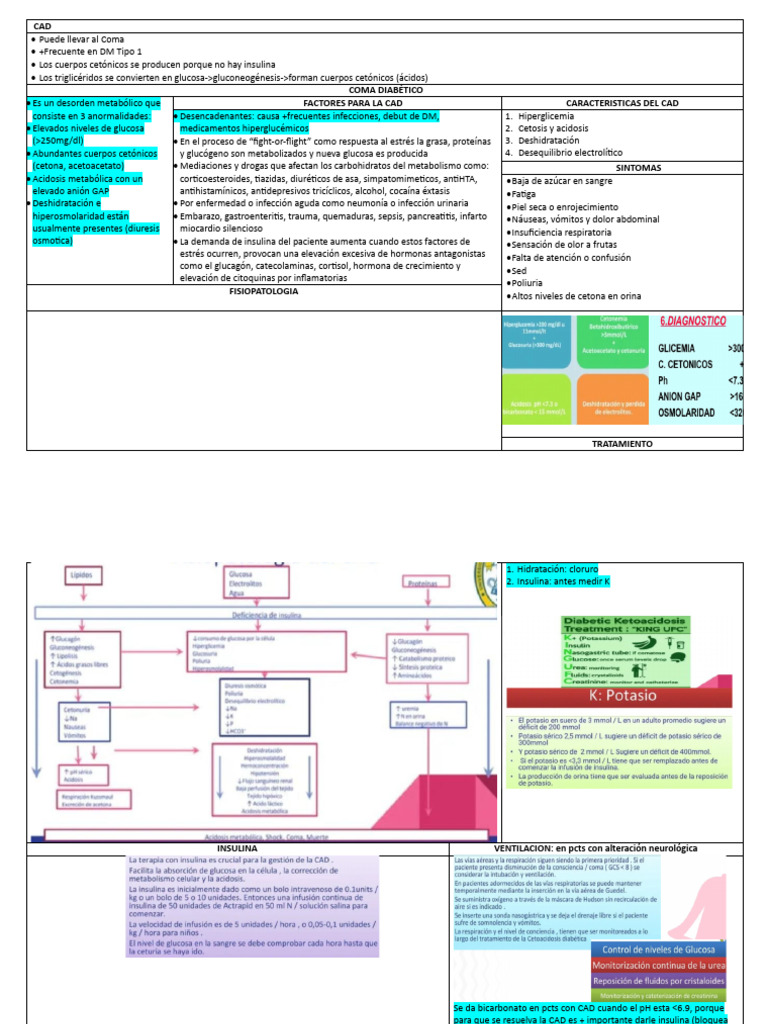 Coma Diabetico CAD Y SHH PDF Diabetes Medicina