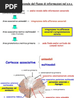 Claudia Rainville Metamedicina Ogni Sintomo è Un