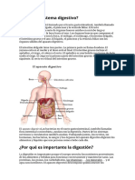 sistema digestivo, circulatorio respiratorio y excretor