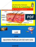 lapielysuspartes-150606233304-lva1-app6891