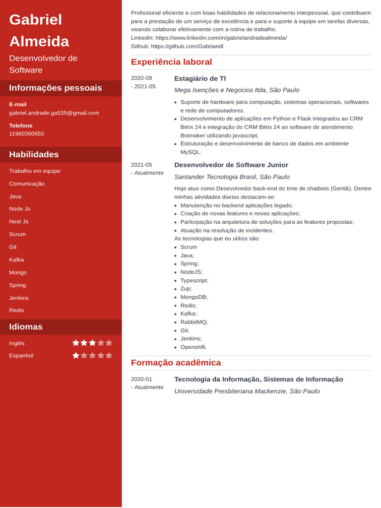 Perfil de Desenvolvedor de Software Gabriel | PDF | Tecnologia da ...