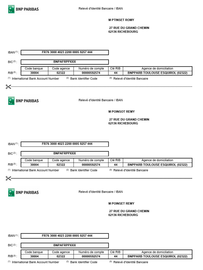 Relevé d'Identité Bancaire BNP Paribas | PDF | Code (information ...