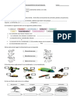 Evaluación Diagnostico de Naturaleza 2024