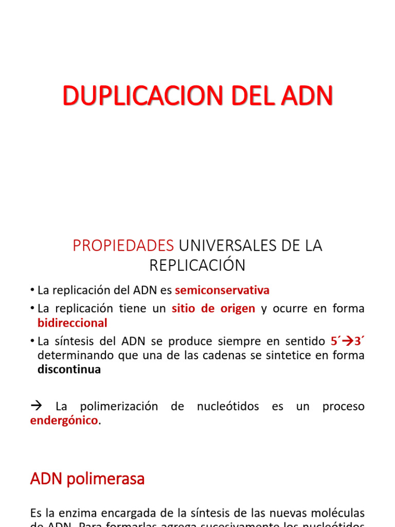 Replicación del ADN: Mecanismos y Enzimas | PDF | Replicación De Adn | Adn