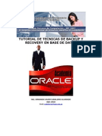 Tecnicas Backup Oracle