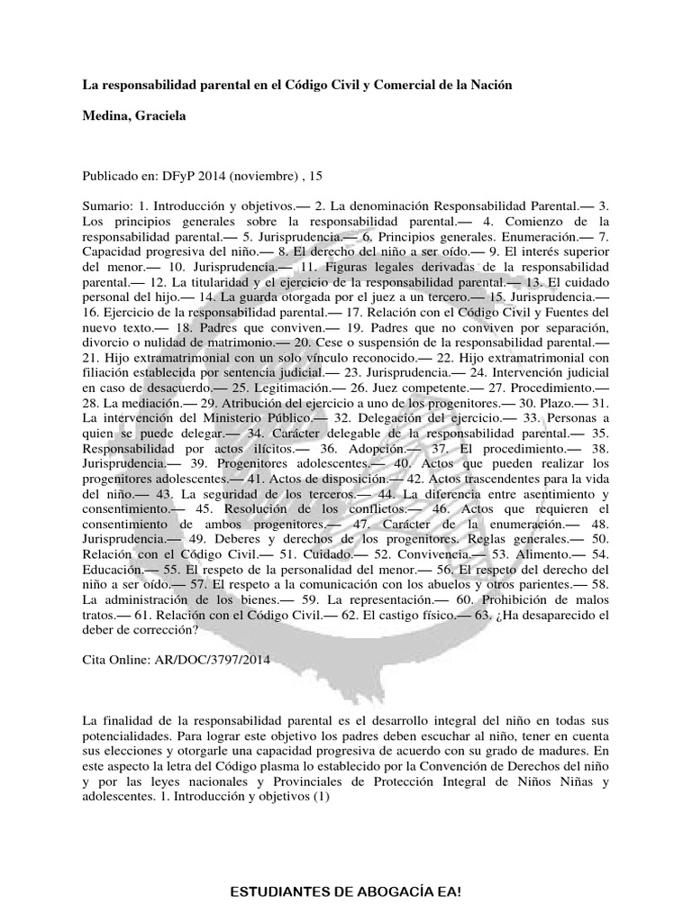 La Responsabilidad Parental En El CCyC Medina PDF Mediaci n 
