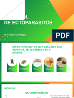 Presentación Del Control de Ectoparasitos - 20240406 - 073520 - 0000