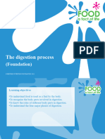 The digestion process