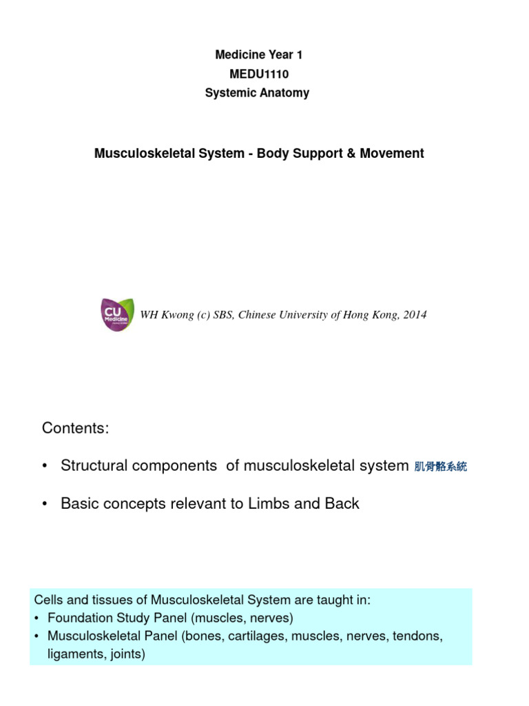 Musculoskeletal System Overview | PDF | Vertebra | Human ...