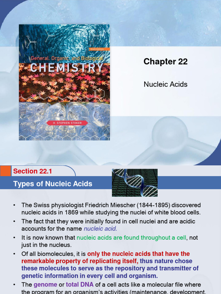 Biochem - Lec - Nucleic Acid | PDF | Translation (Biology) | Ribosome