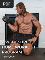 Tiff x Dan 6 Week Shred III Program | PDF | High Intensity Interval ...