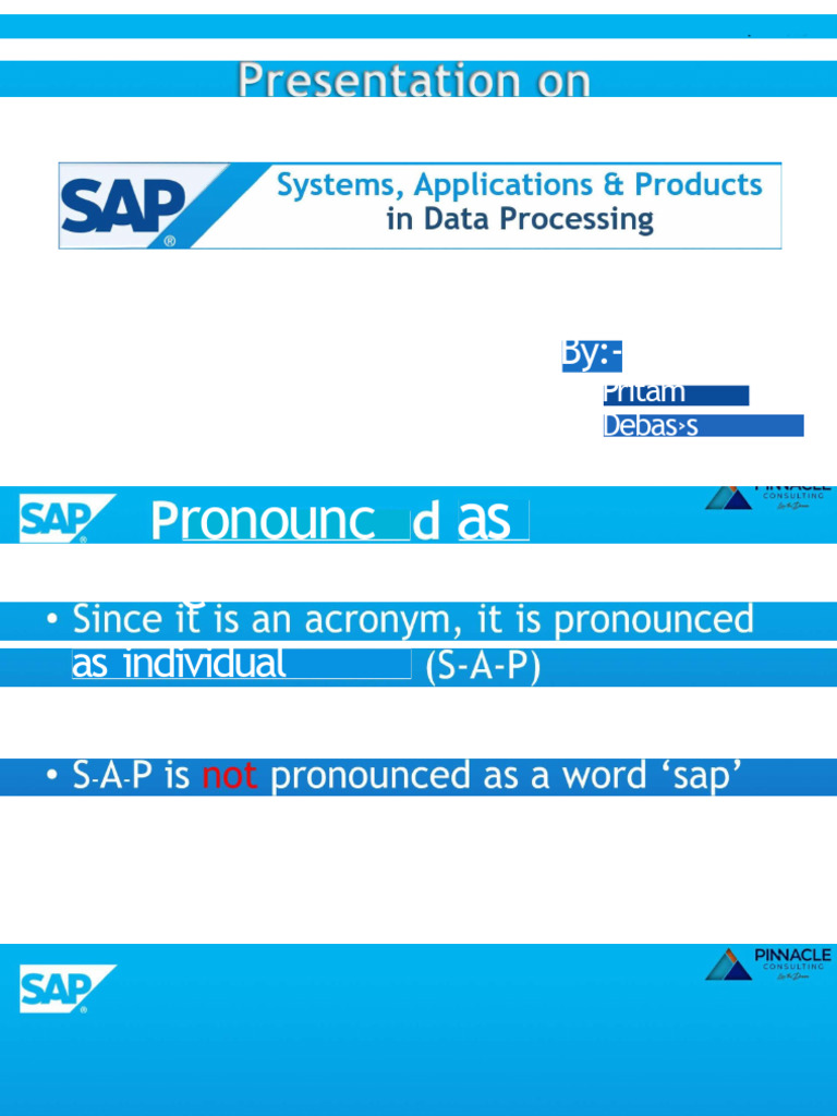 SAP Overview | PDF | Computing