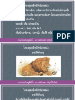 Teacher 4 PDF
