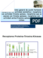 Tema-20-Receptores Actividad Kinasa-2024