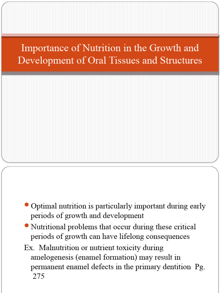 Nutrition Lecture 6 (CH. 11-13) 2 | PDF | Periodontology | Human Tooth