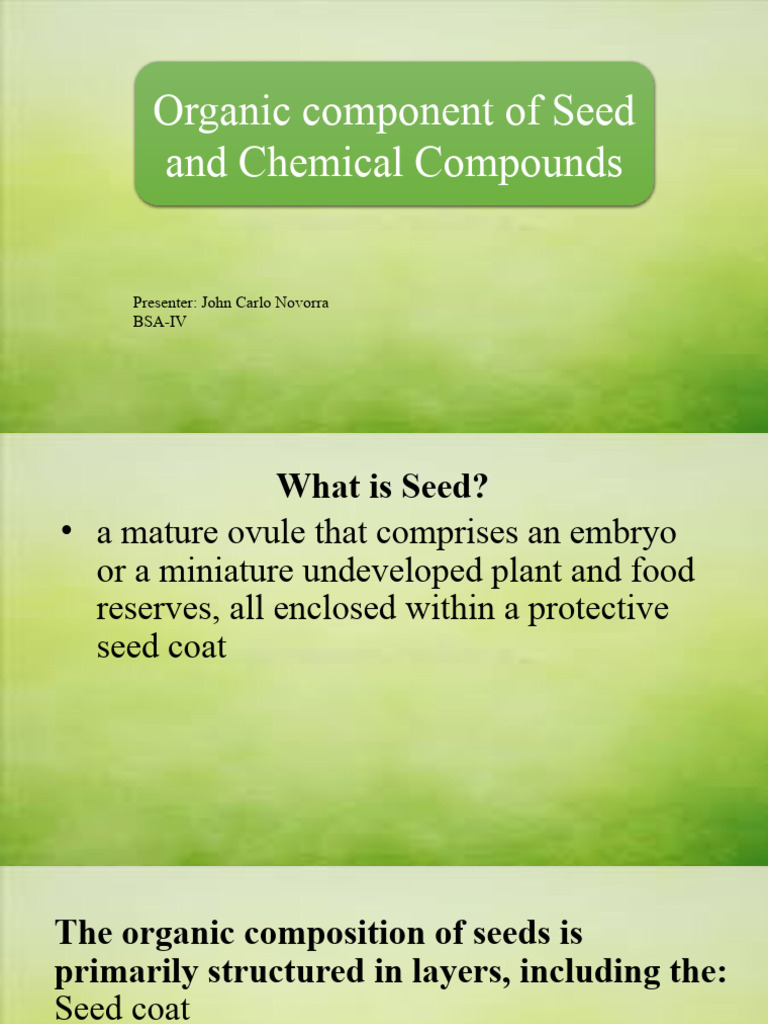 Seed Composition and Physiology Overview | PDF