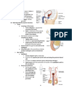 Reproductive System