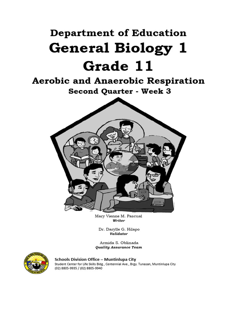 Aerobic vs Anaerobic Respiration Guide | PDF | Cellular Respiration ...