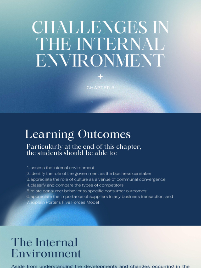 Internal Environment Challenges Explained | PDF | Economies | Business