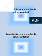 Constituição geral e funções da coluna vertebral