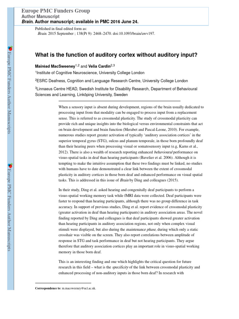 Auditory Cortex Function in Deaf Individuals | PDF | Neuroplasticity ...