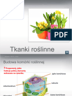 Tkanki Roslinne Prezentacja Multimedialna Kl5