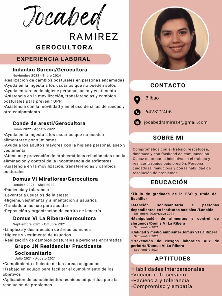Curriculum Vitae CV Elegante Profesional Rosa | PDF