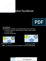 Acidos Nucleicos I