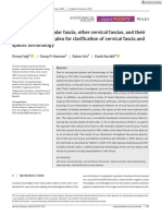 Journal of Anatomy - 2020 - Feigl - The Intercarotid or Alar Fascia Other Cervical Fascias and Their Adjacent Spaces A