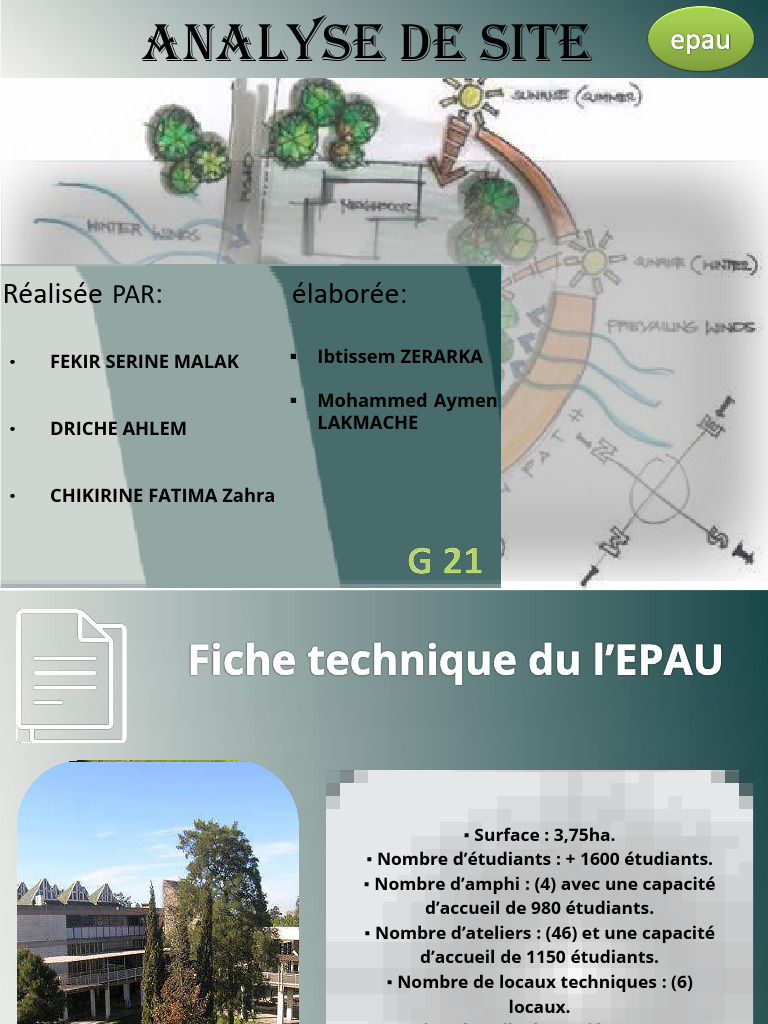 Analyse du site de l'EPAU à Alger | PDF | Art