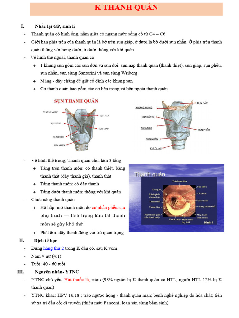 K Thanh Qu N | PDF
