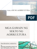 Sektor NG Agrikultura