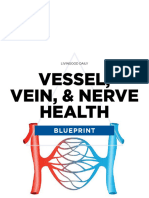 Vessel, Vein, & Nerve Health Blueprint