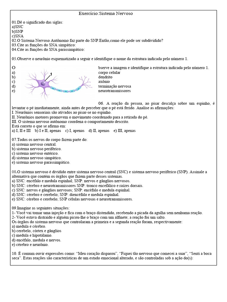 Exercícios sobre o Sistema Nervoso 6º Ano | PDF | Sistema nervoso ...