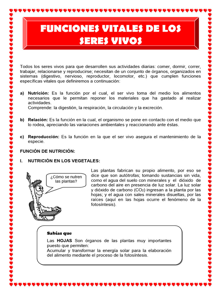 FICHA Funciones Vitales de Los Seres Vivos | Descargar gratis PDF ...