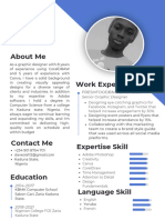 Professional Graphic CV Resume