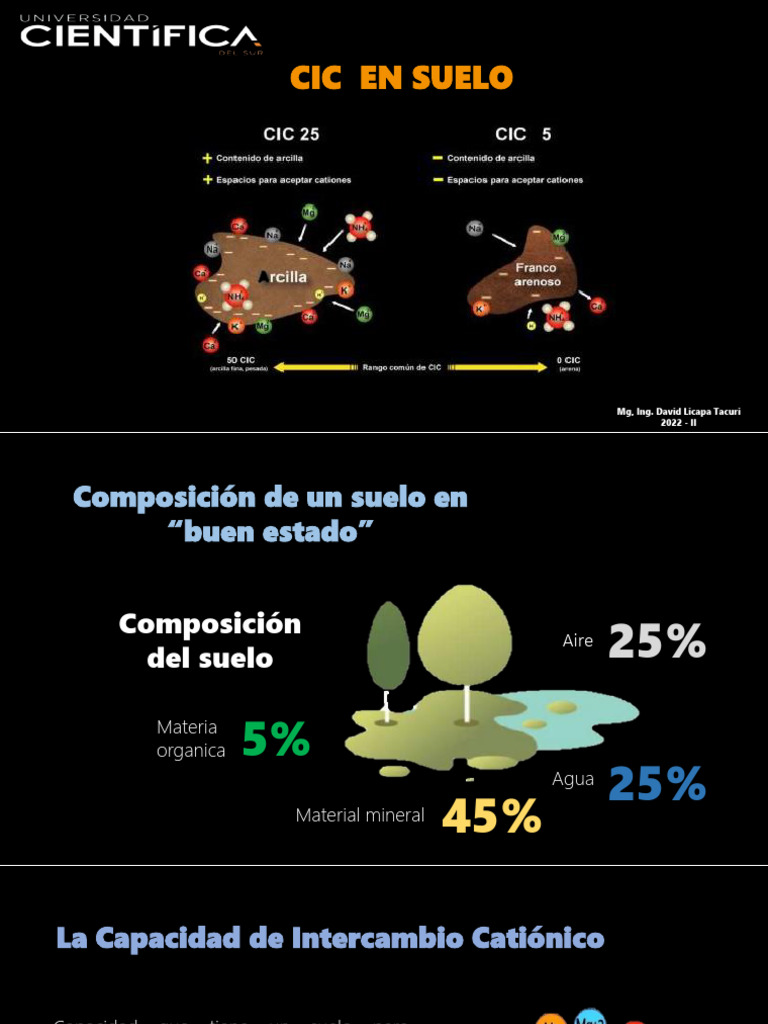 9 Capacidad de Intercambio Cationico PDF Suelo Coloide