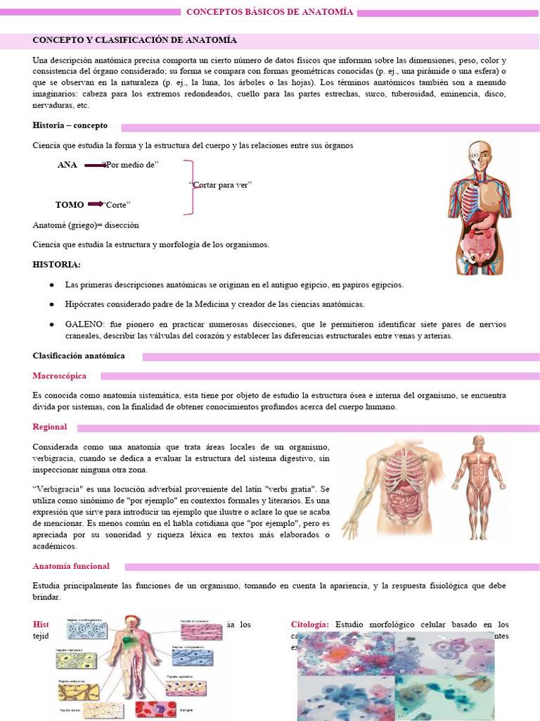 Apuntes de Anatomia 1 | Descargar gratis PDF | Articulación | Términos ...
