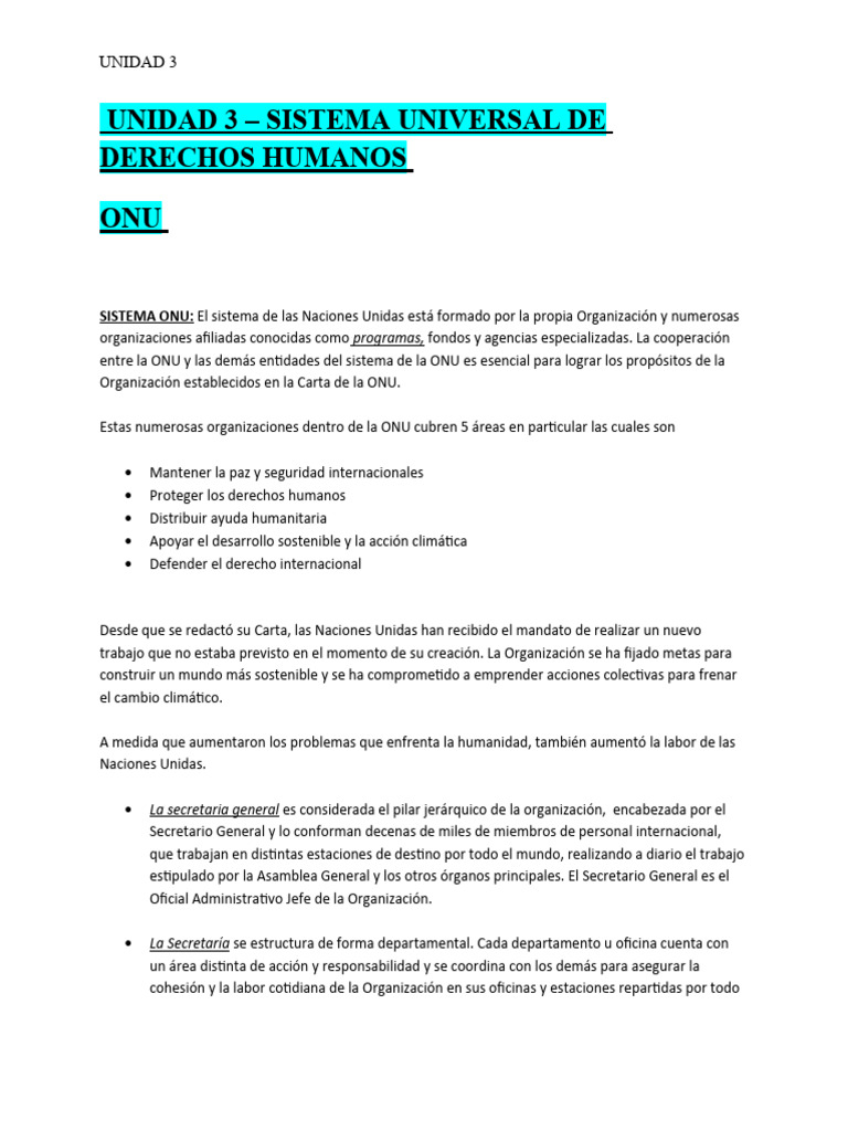 Sistema de Derechos Humanos en la ONU | PDF | Naciones Unidas ...