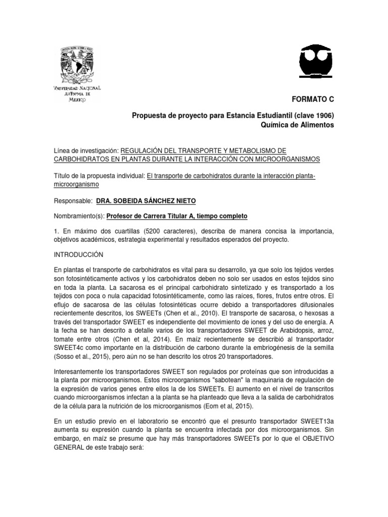 Formato c propuesta de proyecto individual 20nov2015 ssn