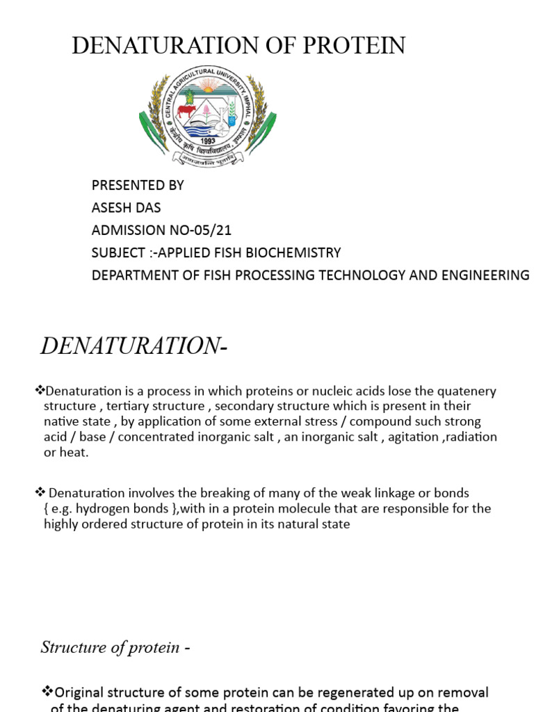 DENATURATION of PROTEIN Sir Majumder Presentation | PDF | Denaturation ...